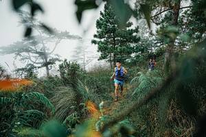 BIB: 
                            <button type="button" onclick="openModal(25258233)" class="btn btn-primary btn-sm float-right btn-popup" data-toggle="modal" data-target=".modal-high-quality">
                        <i class="fas fa-shopping-cart"></i> Add to Cart
                    </button>
                                            <button type="button" onclick="isThisMe(25258233, true)" class="btn btn-success btn-sm float-right btn-popup btn-isme hidden" data-toggle="tooltip" data-placement="bottom" title="นี่คือรูปของคุณใช่ไหม คลิกที่นี่เพื่อเอาเข้าอัลบั้ม">
                        <i class="fas fa-plus"></i> Add to album
                    </button>
                    <button type="button" onclick="isThisMe(25258233, false)" class="btn btn-warning btn-sm float-right btn-popup btn-isnotme hidden">
                        <i class="fas fa-ban"></i> Remove from album
                    </button>